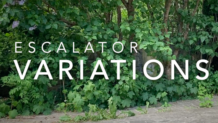 Escalator variations